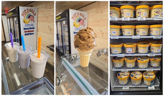 Scoops Ice Cream Picture 2