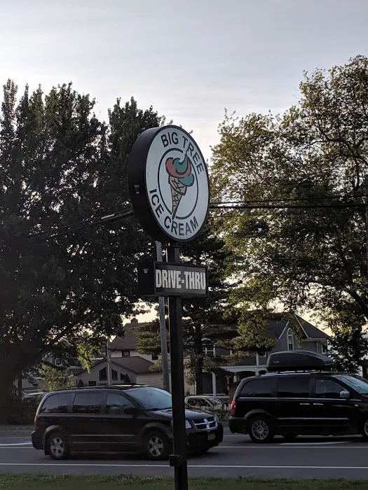 Big Tree Soft Serve Ice Cream Picture 7