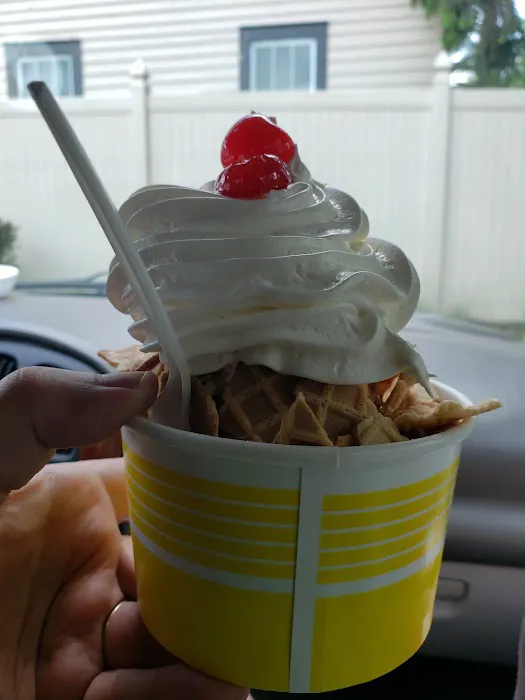 Big Tree Soft Serve Ice Cream Picture 5