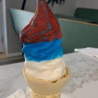 The Scoop Treats & Eats ico