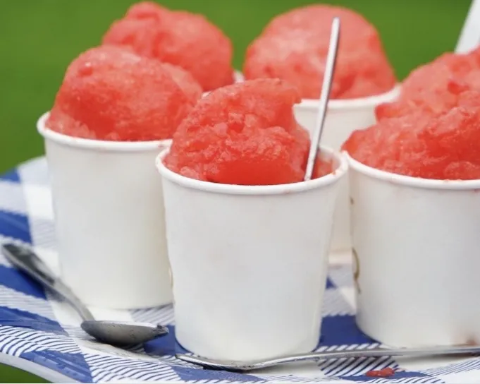 Frostie Frog Mountain States Finest Shaved Ice Picture 8