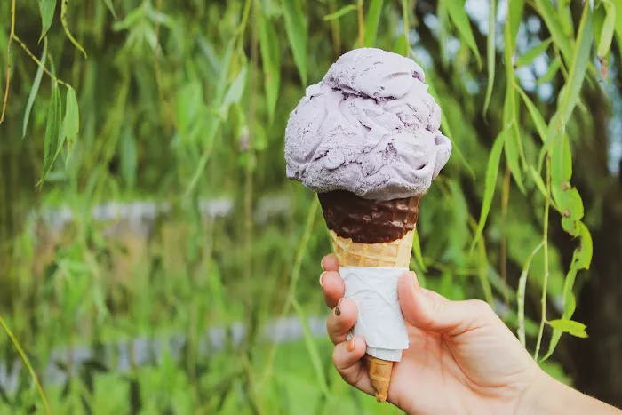 Hanging Rocks Ice Cream LLC Picture 3