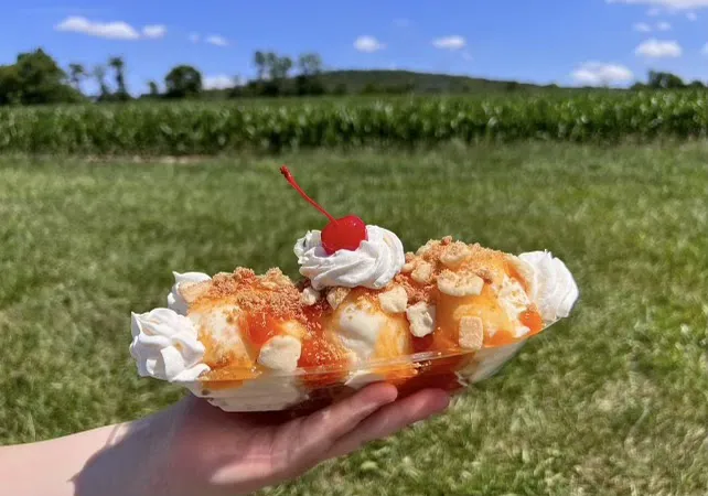 Blessing Ridge Farm Cream Wagon Picture 4