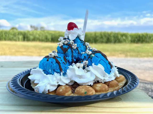 Blessing Ridge Farm Cream Wagon Picture 6