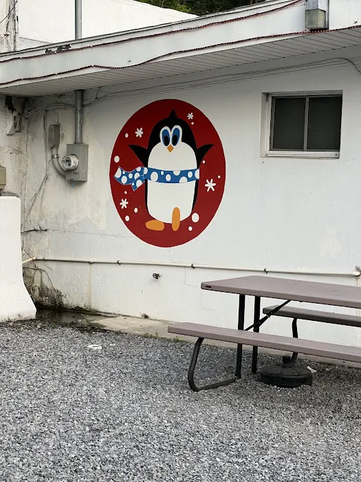 The Penguin Picture 3