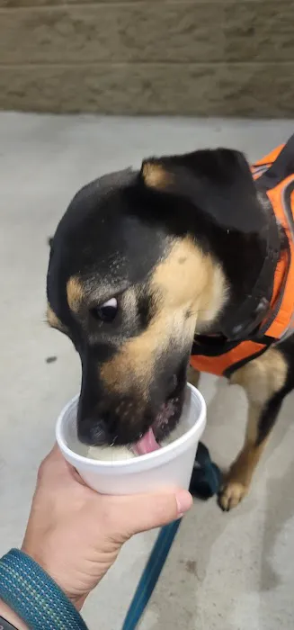 Meadows Original Frozen Custard Picture 5