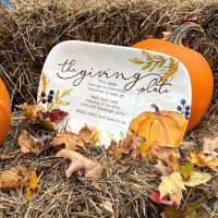 Brandy Camp Creamery & Kitchen ico