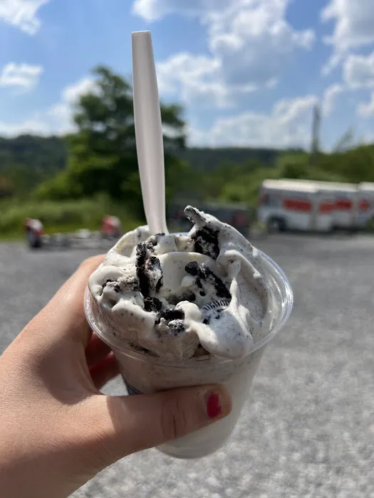 Meadows Frozen Custard Picture 10