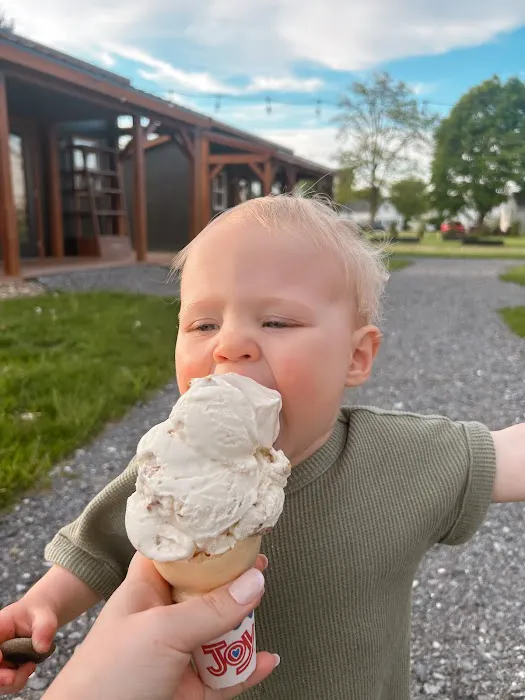 Scoops of Pure Joy Picture 7