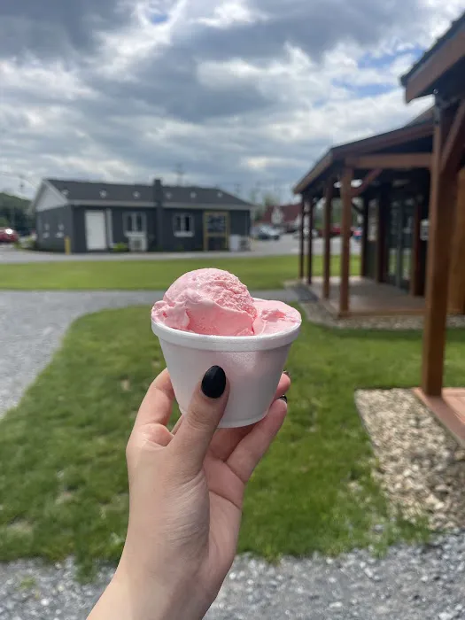 Scoops of Pure Joy Picture 8