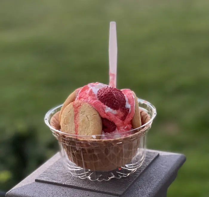 The Lakeside Scoop Picture 4