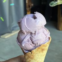 The Pine Cone Creamery ico