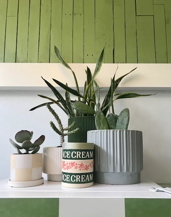 The Pine Cone Creamery Picture 6