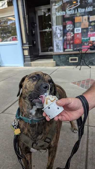 Chloe's Creamery Picture 4