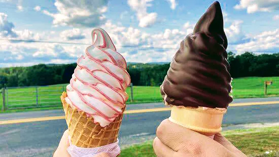Pap’s Dairy Dreams Picture 6