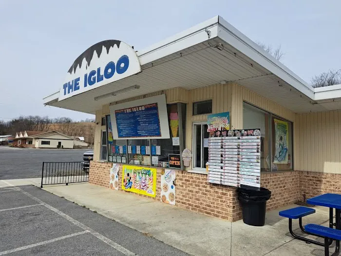 Igloo Soft Freeze Picture 2
