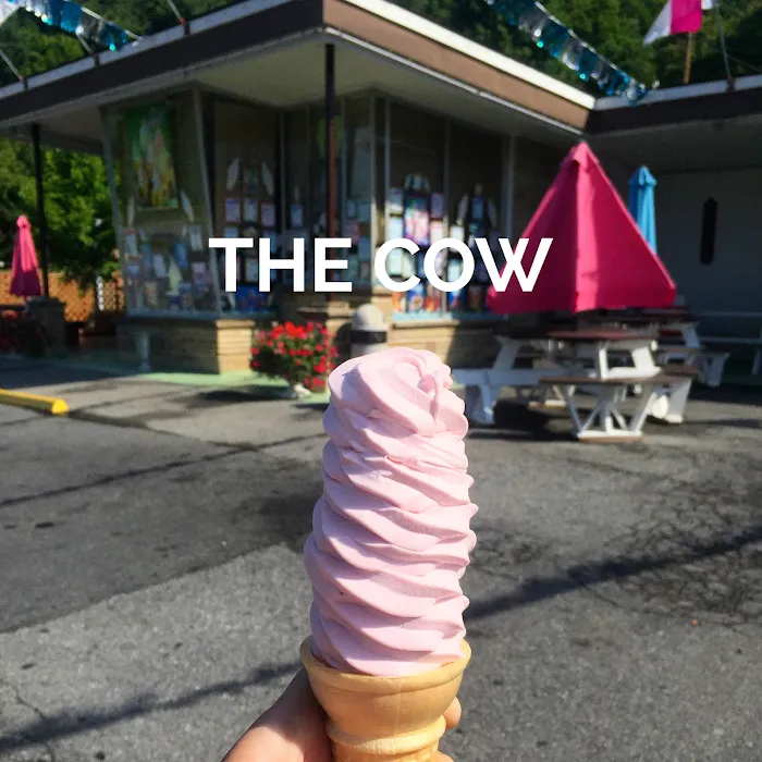 The Cow Soft Ice Cream Picture 10
