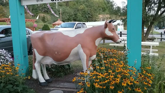 The Cow Soft Ice Cream Picture 3