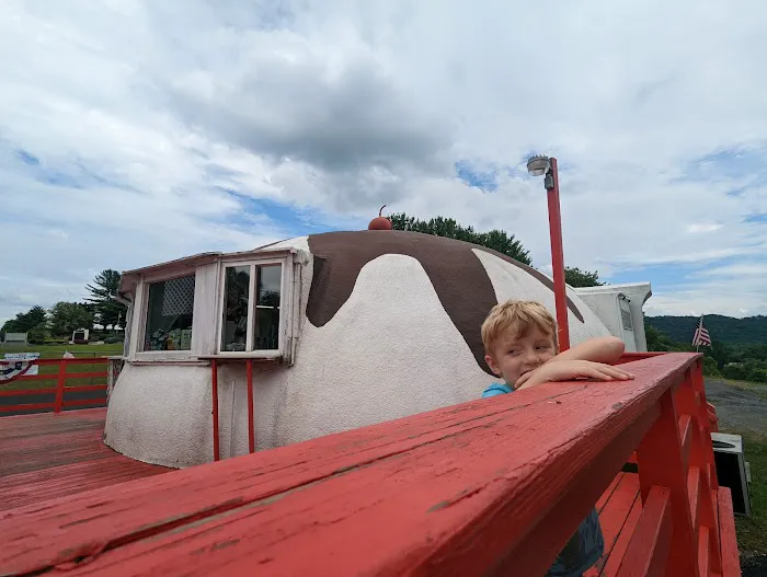 The Igloo Picture 10