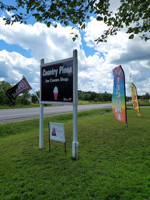 Country Pines Ice Cream Shop Picture 2