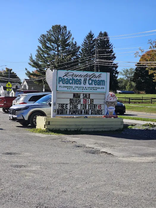 Randolph Peaches & Cream Picture 3