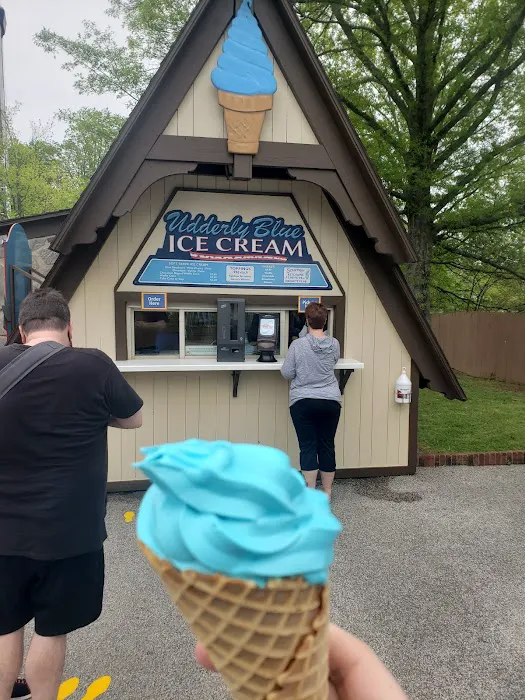 Udderly Blue Ice Cream Picture 1