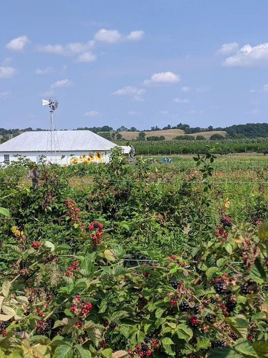 The Homestead Farm at Fruit Hill Orchard and Sugar Shack LLC Picture 5