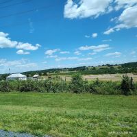 The Homestead Farm at Fruit Hill Orchard and Sugar Shack LLC ico
