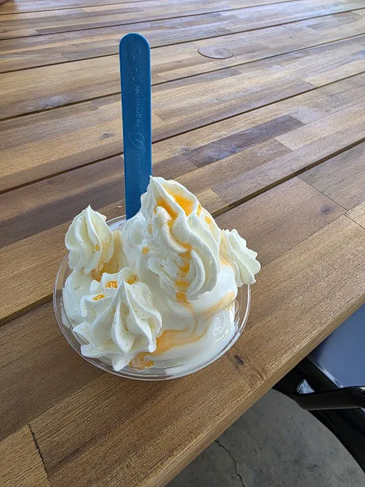 Ganotown Ice Cream Picture 7