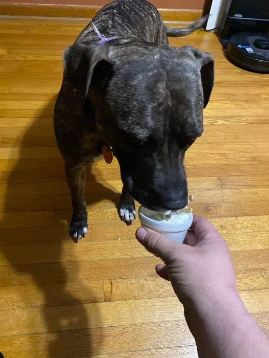Mr.Richards hot dogs and soft serve ice cream Picture 6