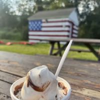 Custer City Drive-in Ice Cream ico