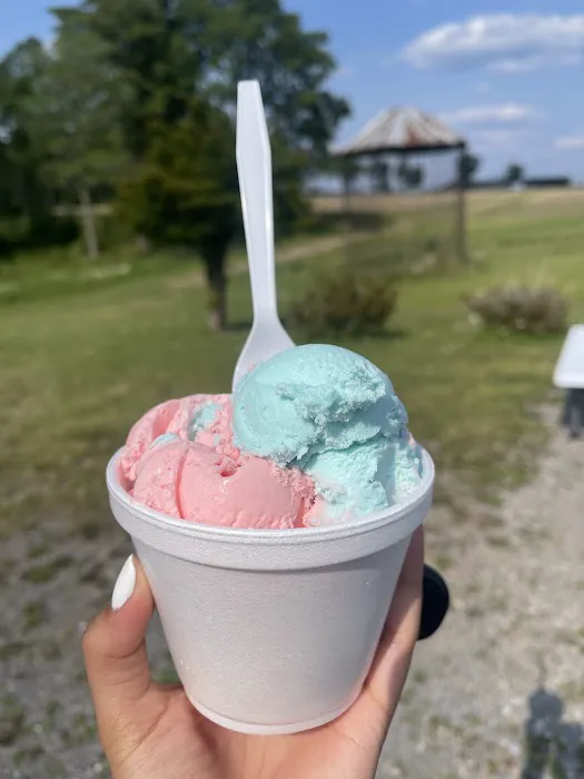 Sweet dreams ice cream shop Picture 1