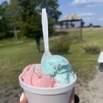 Sweet dreams ice cream shop