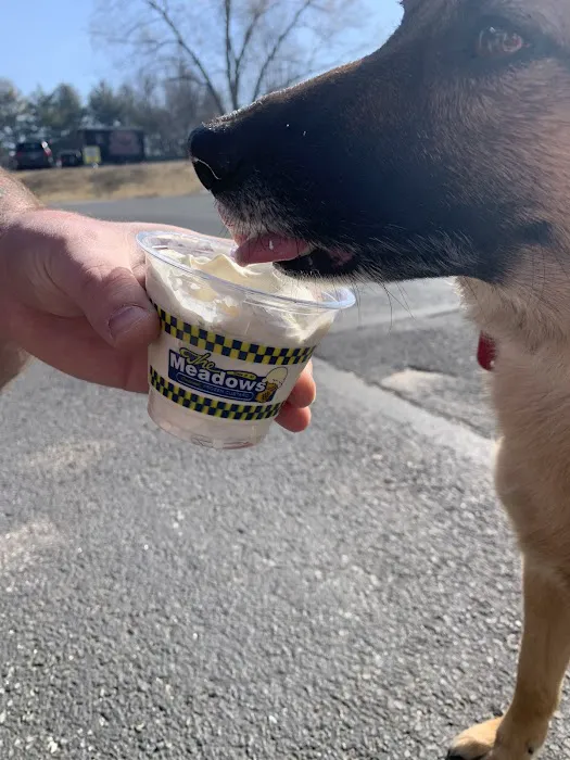The Meadows Original Frozen Custard Picture 6