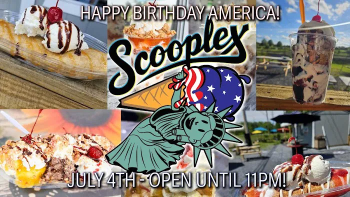 Scooplex Picture 3