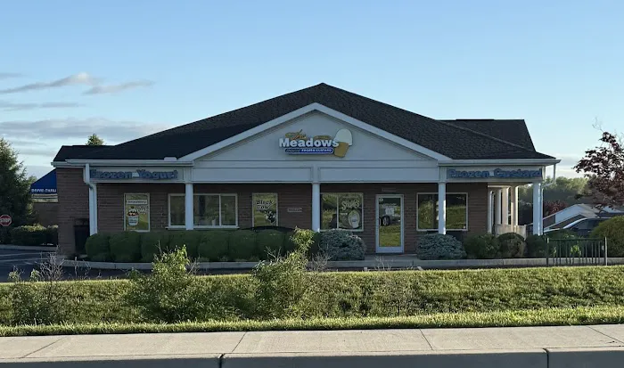 The Meadows Original Frozen Custard Picture 4