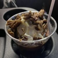 The Meadows Original Frozen Custard ico