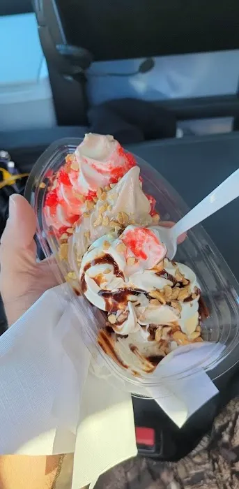 The Little Ice Creamer Picture 10