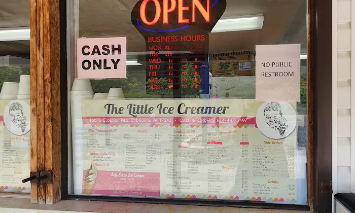 The Little Ice Creamer Picture 6