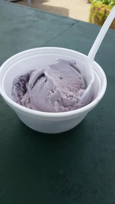 The Ice Cream Station Picture 10