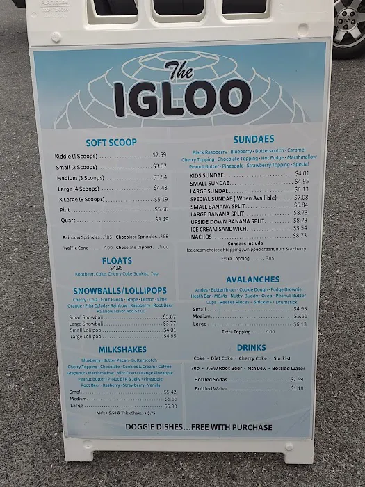 The Igloo Picture 2