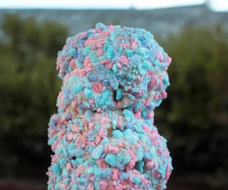 Scoops