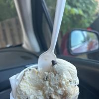 2 Scoops Ice Cream ico