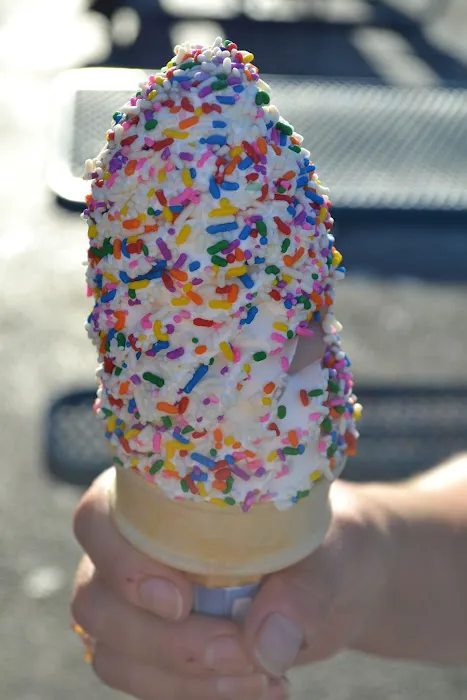 Fran-Ceil Custard Picture 1