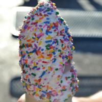 Fran-Ceil Custard ico