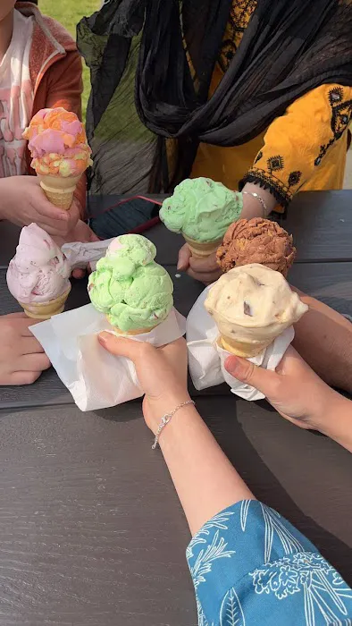 Scoops Picture 6