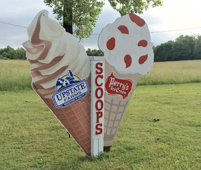 Scoops Picture 8