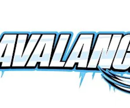 Arctic Avalanche, LLC