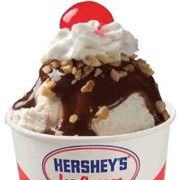 Ice Cream D and E Novelties ico