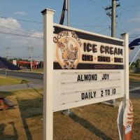 Goose Bros. Ice Cream ico